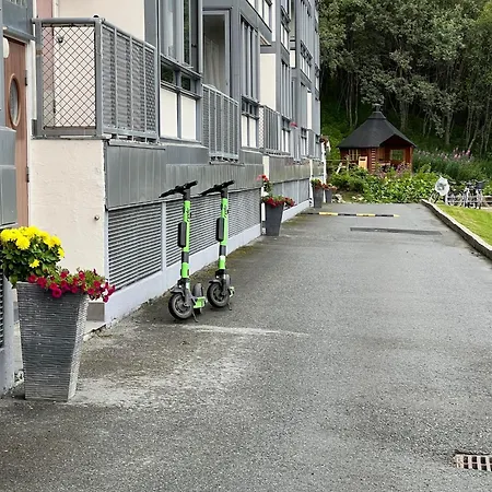 Miracle Tromso, Cozy Double Bed Private In A Shared With Stunning Views Tromsø